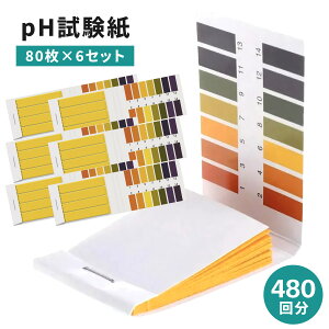pH 80 6Zbg 480 e g}X g}X eXgy[p[ y[n[ nt ڈ\ ȈՑ   Mы  ANAE  A ڈ v[
