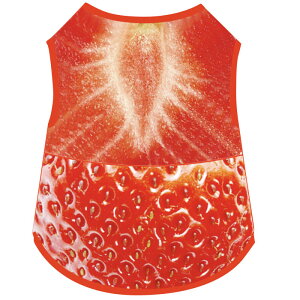 hbOEFA  pEFA ybgEFA ^Ngbv TVc bV t tp ėp H Hp ^p   U K