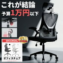 【3冠制覇☆CPで7980〜】Ergoreal オフィスチェア 在宅ワークに最適 人間工学 ハイバックメッシュおしゃれ ランバー&…