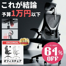 【SS最大71％OFF☆cpで7780～】Ergoreal オフィスチェア 在宅ワークに最適 人間工学 ハイバックメッシュおしゃれ ランバー&ヘッドサポート 可動アーム ロッキングリクライニング デスクチェア 長時間作業 8時間快適 姿勢サポート 通気性抜群リモートワーク ブラック