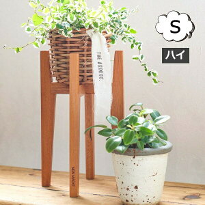 Ebh|bgX^h pr 12cmp iC}[P }zKj[|bgX^h S nC NG Creer 92200002yAؔ  Jo[ K[fG 킢 CeA |bgX^h ؐz