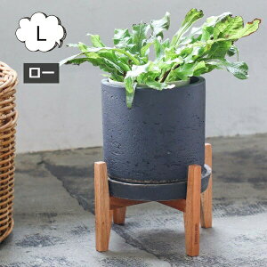 Ebh|bgX^h pr 20cmp iC}[P iC}[P }zKj[ |bgX^h L [ NG Creer 92200003yAؔ  Jo[ K[fG 킢 CeA |bgX