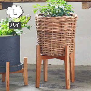 Ebh|bgX^h pr 20cmp iC}[P }zKj[ |bgX^h L nC NG Creer 92200003yAؔ  Jo[ K[fG 킢 CeA |bgX^h ؐz