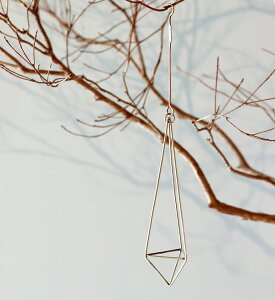 _CI[ig i[ Cu[ NG Creer in bloom vcP[Wu  IuWF I[ig K[fjOG K[fG CeAG i` AeB[N 