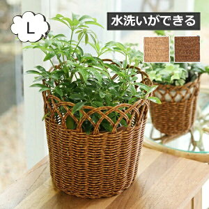 eB t[|bg L 16cm܂ł̔ɑΉ oXPbg 􂢂ł NG eB Creer UTILE 92240019 oXPbg  JS {bNX Lb`pi Lb` o [ 