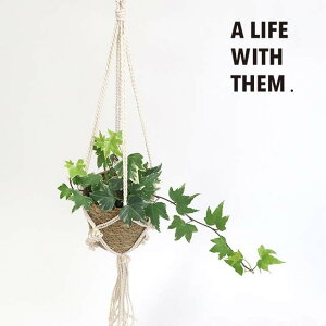 }N nMO|bg A i` ubN t[|bg   ϗtA K[fG i`K[f Aؔ  }N|bgnK[ nMO i` y