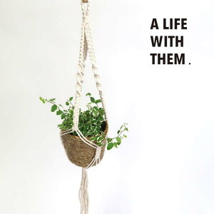 }N nMO|bg B i` ubN t[|bg   ϗtA K[fG i`K[f Aؔ  }N|bgnK[ nMO i` y