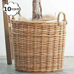 AO v^[oXPbg 10p NG Creer 92210011   [ BOX {bNX  oXPbg  JS  킢 CeA G k Lb` 䏊 rO 