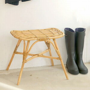 `FA[ CX ֎q NgXc[ AeB[N O NG JUGLAS Creer 91910001 wȂ AeB[N Xc[ ֎q CX  `FA[yzy|Cg10{z