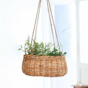 AO艺 I[o AO THE AROROG 92210034 [{bNX  oXPbg   [ BOX {bNX  oXPbg  JS  킢 CeA G k