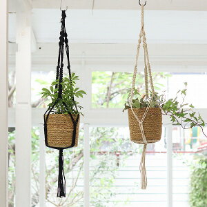 }N nMO|bg [W 150mm(5)܂őΉ i` ubN NG Creer t[|bg   ϗtA K[fG i`K[f Aؔ  }N|bgn