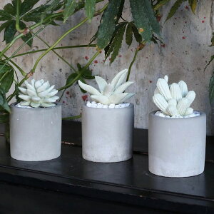 tOX fBt[U[ JN^X T{e ڂĂ _g@DULTON gI͒uƂĂg܂B ͂ A}    F {g ԕr