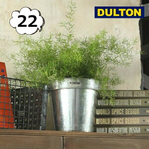 KoiCYh |bgJo[ 22 _g DOULTON K865-1095-22 GALVANIZED POT COVER 22 CeAK[fjOp Jo[Aؔ |bg AeB[N v^[ oPc K[fjO