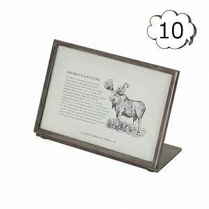 ʐ^ ^ t[ 10 _g DULTON AeB[N K955-1263-10 j[ vCX tHgt[ ʐ^ ʐ^ Ⴕ񂽂 tHgt[ i` G