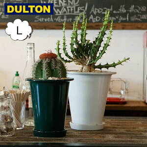 {^j[ O |bg L _g DOULTON NB-0602L CeAK[fjOp Jo[Aؔ |bg AeB[N v^[ oPc K[fjO BOTANY O|bg