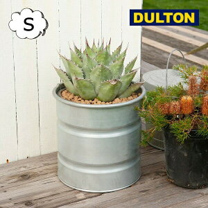 KoiCYh ^N S 10 Aؔ _g DULTON GALVANIZED TANK NBZ-0460S v^[ t[|bg K[fjO  C_XgA K[fjO | 
