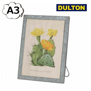 ʐ^ KoiCYh t[ X^h A3 _g DULTON AeB[N RN-0400-A3 j[ vCX tHgt[ ʐ^ ʐ^ Ⴕ񂽂 tHgt[ i`