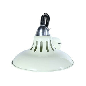 y_gCg GNXeV y_g [N v y_gv E26 LEDd Ɩ DULTON _g DS-0993 AC{[ O[ IW