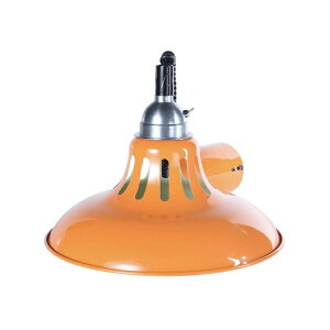 y_gCg GNXeV y_g [N v y_gv E26 LEDd Ɩ DULTON _g DS-0993 AC{[ O[ IW