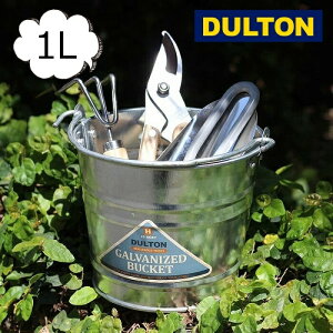 KoiCYh oPc 1L _g DULTON H19-0047-1 CeAK[fjOp Jo[Aؔ |bg AeB[N v^[ oPc K[fjO Aؔ v^[Jo[