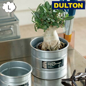 KoiCYh fXNgbv ^N Eh M _g DULTON NB-0672M CeAK[fjOp Jo[Aؔ |bg AeB[N v^[ oPc K[fjO Aؔ v