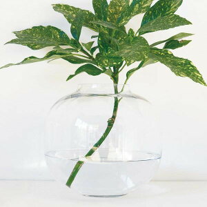 ガラス 花瓶 大きいの人気商品 通販 価格比較 価格 Com