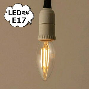 シャンデリア LED電球 E17 一般電球型LED 電球 E17 HS2745 アクシス ホームステッド Homestead LED電球 E17 口金 e17 LED照明 節電対策 電球 LED かっこいい おしゃれ レトロ アンティーク ヴィンテージ