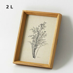 tHgt[ `[Nt[ 2L z[Xebh ANVX Homestead HS2750 ؐ Ebh ʐ^ ʐ^ Ⴕ񂽂 tHgt[ i` G CeA 