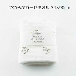 K[[^I ANVX 炩K[[^I { g  K[[ xr[ 100 킢  oYj Mtg tFCX^I V ANVX TE738 AXCIS {  Ƃ Rg