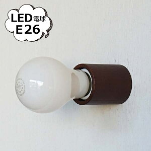 V䒼t Ɩ \Pbg EbhZbvJo[ V_[ uE E26 y_gv 1p Ɩ vO  _  X܏Ɩ VƖ LEDΉ  HS3558 