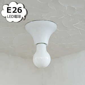 V[OCg Flare zCg F Homestead z[Xebh ANVX  AeB[N g Ɩ Cg Ǌ| HS3698 yz