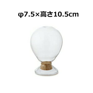 o[^ V[h{g 10.5cm 22713 7.5×10.5cm e ϔMKX CeA  u KXh[ WpKXh[ X܏Y fBXvC AeB[N V[P[X R