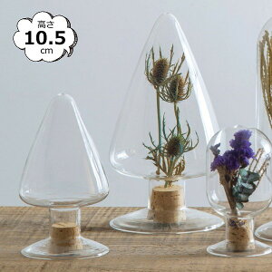 c[^V[h{g 10.5cm 22587 6×10.5cm e ϔMKX CeA  u KXh[ WpKXh[ X܏Y fBXvC AeB[N V[P[X RNV