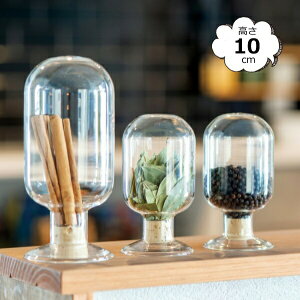 h[^V[h{g 10cm 22591 5.5×10cm e ϔMKX CeA  u KXh[ WpKXh[ X܏Y fBXvC AeB[N V[P[X RNV