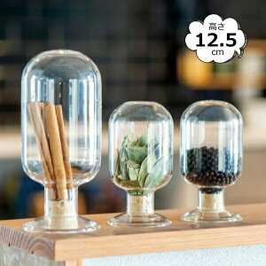 h[^V[h{g 12.5cm 22592  6.5×12.5cm e ϔMKX CeA  u KXh[ WpKXh[ X܏Y fBXvC AeB[N V[P[X R