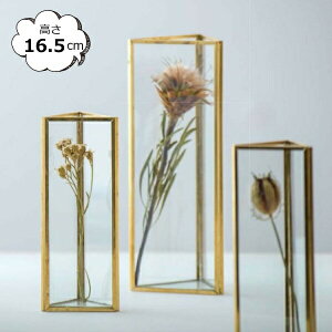 ԕr t[x[X t[t[x[X \bh KX uX Op^ S[h \bh 22700 POSH LIVING |bVrO KXAeB[N {gx[X ԕr ԕr ֑}  