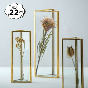 ԕr t[x[X t[t[x[X \bh KX uX Op^ S[h \bh 22702 POSH LIVING |bVrO KXAeB[N {gx[X ԕr ԕr ֑}  
