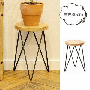 t[X^h T[NX^h 30cm 41300 v^[{bNX v^[ v^[X^h/t[X^h ACA fUC |bN ACA ؐkK[fjO |