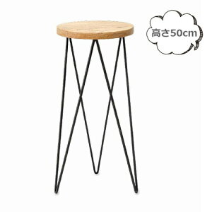 t[X^h T[NX^h 50cm 41301 v^[{bNX v^[ v^[X^h/t[X^h ACA fUC |bN ACA ؐ kK[fjO 