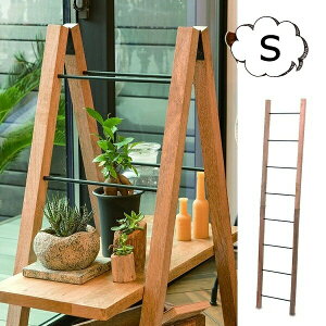 _[ STCY nK[ Ċ| 41312 X^Cv nK[ ؐ ACA ANZT[ Xq  CeA _ G݁yz