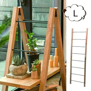 _[ LTCY nK[ Ċ| 41313 X^Cv nK[ ؐ ACA ANZT[ Xq  CeA _ G݁yz