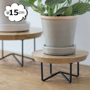 |bgX^h T[NR|[g 15cm 41359 v^[{bNX v^[ v^[X^h/t[X^h ACA fUC |bN ACA ؐkK[fjO | G