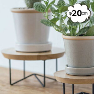 |bgX^h T[NR|[g 20cm 41360 v^[{bNX v^[ v^[X^h/t[X^h ACA fUC |bN ACA ؐkK[fjO | G