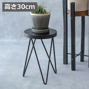 t[X^h T[NX^h ubN 30cm 41396 F v^[{bNX v^[ v^[X^h/t[X^h ACA fUC |bN ACA ؐkK