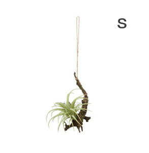 GA[vc nMO@GAvc S  C~e[V@Ǌ| ݂艺 CeAO[ lHϗtA tFCNO[ C~e[V  t[yCeAzf