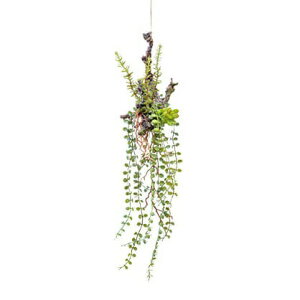 A[gvc nMOvc  C~e[V@Ǌ| ݂艺 O[ 80974 nMOvc  CeAO[ lHϗtA tFCNO[  C~e[V