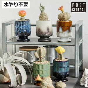 �U �J�N�e�B�|�b�g �T�{�e�� ���� �C�~�e�[�V���� �|�X�g�W�F�l���� POST GENERAL THE CACTI POT �C�~�e�[�V���� �|�b�g �y�C���e���A �ϗt�A�� �l�H�A�� ������� �C�~�e�[�V���� ���t�� ���ԁz