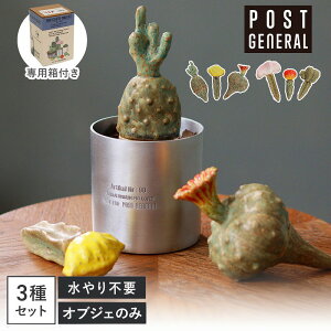 �U �J�N�e�B�I�u�W�F �T�{�e�� ���� �C�~�e�[�V���� �|�X�g�W�F�l���� POST GENERAL THE CACTI POT �C�~�e�[�V���� �|�b�g �y�C���e���A �ϗt�A�� �l�H�A�� ������� �C�~�e�[�V���� ���Ȃ� ���ԁz