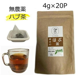 ハブ茶 はぶ茶 国産 20P 無農薬 ハブ茶 決明子 決明子茶 決明茶 ケツメイシ 鳥取県産 はぶ草茶 エビスグサ ノンカフェイン 送料無料 マイボトル ティーバッグ ティーパック ソイロン 国産 4g×20包 健康茶 国産の健康茶