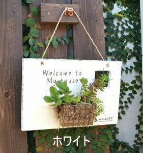 AeB[N |PbgTC zCg uE azi-azi AWAW v^[ K[fG݁y|Cg10{z